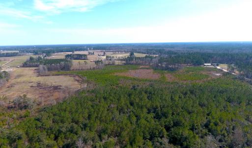 Photo #4 of SOLD property in Off Mosquito Hill Road, Ash, NC 71.9 acres