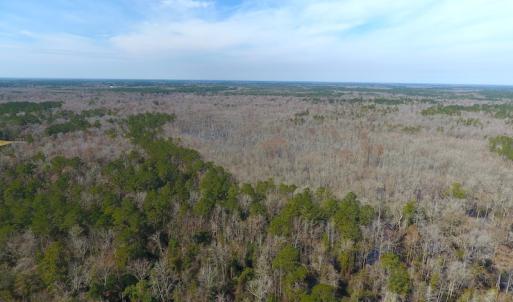 Photo #5 of SOLD property in Off Mosquito Hill Road, Ash, NC 71.9 acres