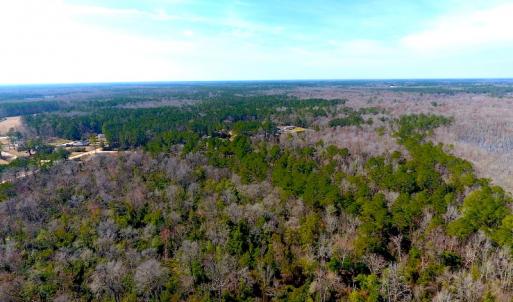 Photo #6 of SOLD property in Off Mosquito Hill Road, Ash, NC 71.9 acres