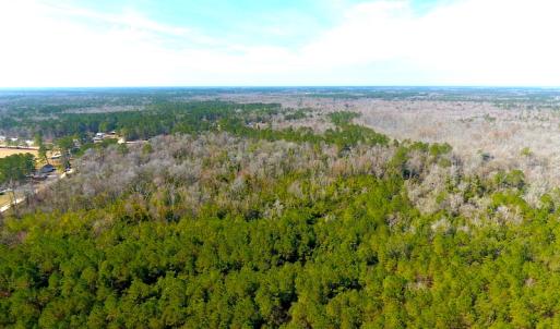 Photo #7 of SOLD property in Off Mosquito Hill Road, Ash, NC 71.9 acres