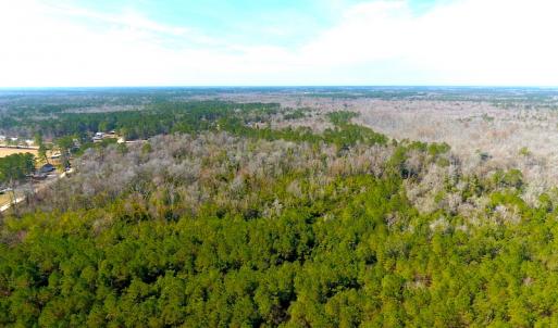Photo #7 of SOLD property in Off Mosquito Hill Road, Ash, NC 71.9 acres