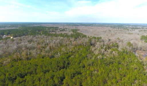 Photo #8 of SOLD property in Off Mosquito Hill Road, Ash, NC 71.9 acres
