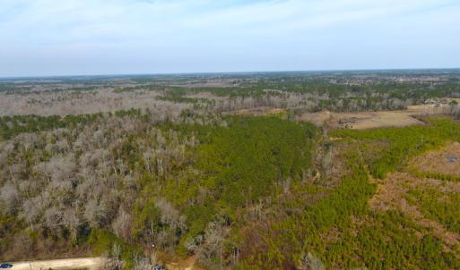 Photo #9 of SOLD property in Off Mosquito Hill Road, Ash, NC 71.9 acres