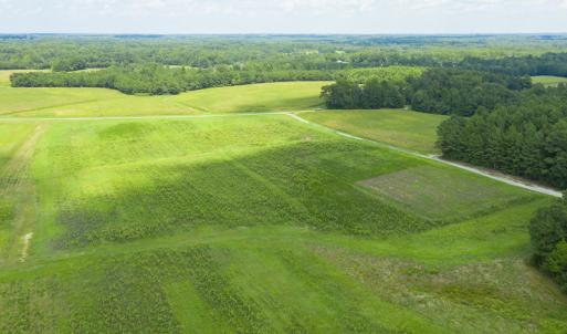 Photo #3 of SOLD property in Off NC Hwy 49, Burlington, NC 3.3 acres