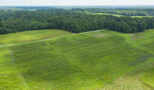 Photo #4 of SOLD property in Off NC Hwy 49, Burlington, NC 3.3 acres