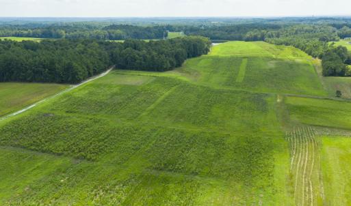 Photo #5 of SOLD property in Off NC Hwy 49, Burlington, NC 3.3 acres