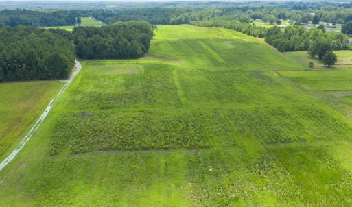 Photo #6 of SOLD property in Off NC Hwy 49, Burlington, NC 3.3 acres