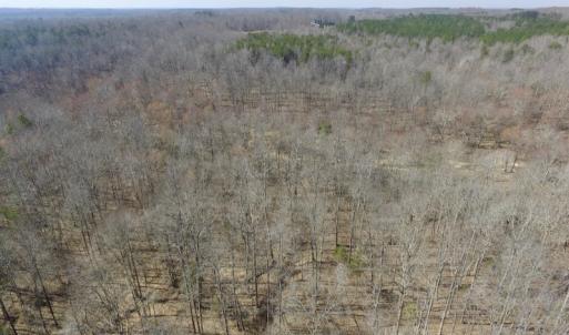 Photo #5 of SOLD property in Off Table Rock Lane, Nathalie, VA 20.0 acres