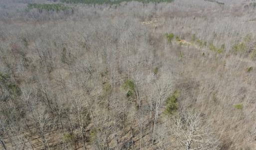 Photo #7 of SOLD property in Off Table Rock Lane, Nathalie, VA 20.0 acres