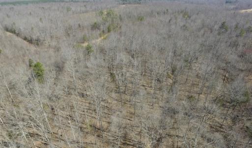 Photo #9 of SOLD property in Off Table Rock Lane, Nathalie, VA 20.0 acres