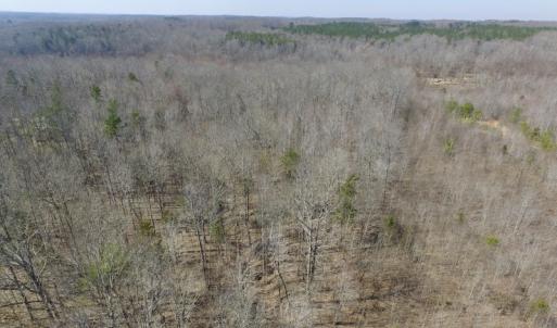 Photo #12 of SOLD property in Off Table Rock Lane, Nathalie, VA 20.0 acres