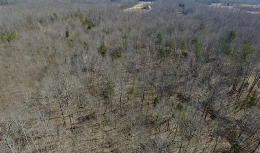 Photo #13 of SOLD property in Off Table Rock Lane, Nathalie, VA 20.0 acres