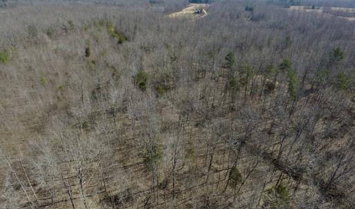 Photo #14 of SOLD property in Off Table Rock Lane, Nathalie, VA 20.0 acres