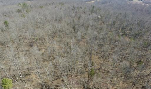 Photo #15 of SOLD property in Off Table Rock Lane, Nathalie, VA 20.0 acres