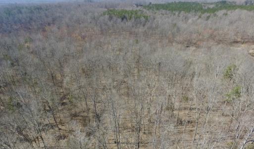 Photo #16 of SOLD property in Off Table Rock Lane, Nathalie, VA 20.0 acres