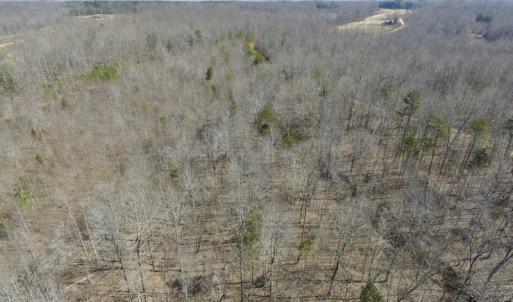 Photo #20 of SOLD property in Off Table Rock Lane, Nathalie, VA 20.0 acres