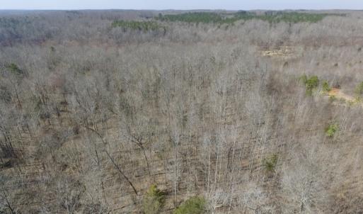 Photo #21 of SOLD property in Off Table Rock Lane, Nathalie, VA 20.0 acres