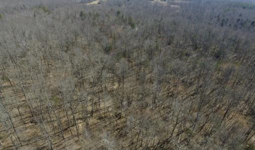 Photo #23 of SOLD property in Off Table Rock Lane, Nathalie, VA 20.0 acres