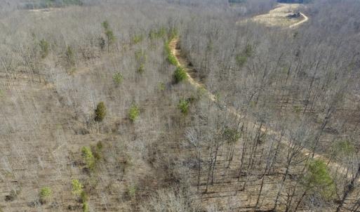 Photo #31 of SOLD property in Off Table Rock Lane, Nathalie, VA 20.0 acres
