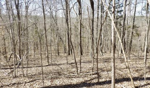 Photo #33 of SOLD property in Off Table Rock Lane, Nathalie, VA 20.0 acres
