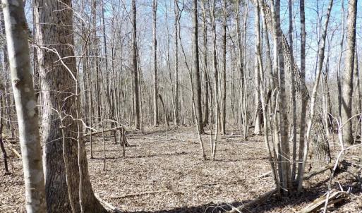 Photo #34 of SOLD property in Off Table Rock Lane, Nathalie, VA 20.0 acres