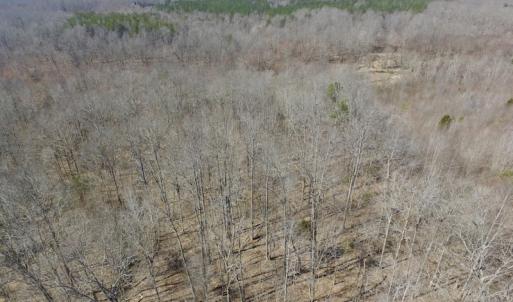 Photo #37 of SOLD property in Off Table Rock Lane, Nathalie, VA 20.0 acres