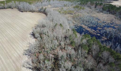 Photo #4 of SOLD property in Off Hunt Club Rd, Carrsville, VA 138.0 acres