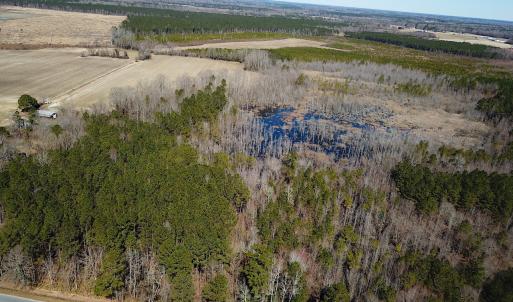 Photo #6 of SOLD property in Off Hunt Club Rd, Carrsville, VA 138.0 acres