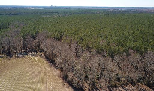 Photo #7 of SOLD property in Off Hunt Club Rd, Carrsville, VA 138.0 acres