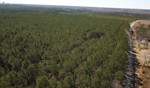 Photo #8 of SOLD property in Off Hunt Club Rd, Carrsville, VA 138.0 acres