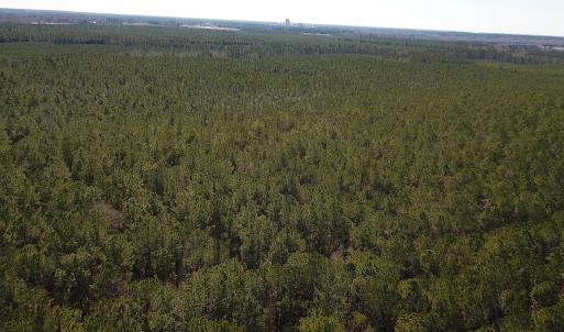 Photo #9 of SOLD property in Off Hunt Club Rd, Carrsville, VA 138.0 acres