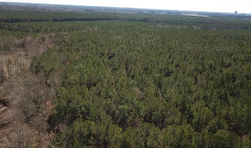 Photo #10 of SOLD property in Off Hunt Club Rd, Carrsville, VA 138.0 acres