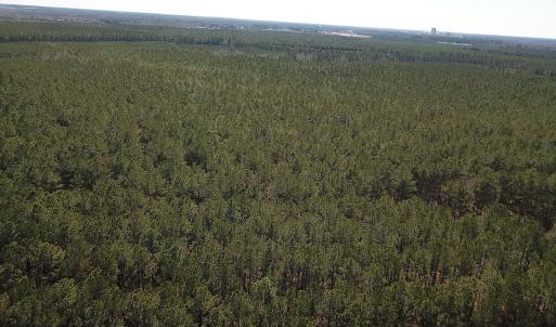 Photo #11 of SOLD property in Off Hunt Club Rd, Carrsville, VA 138.0 acres