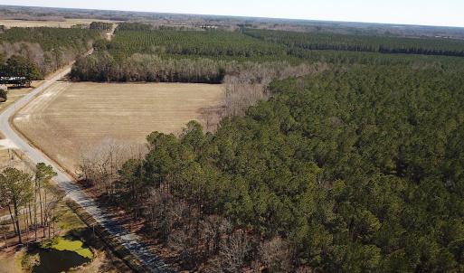 Photo #12 of SOLD property in Off Hunt Club Rd, Carrsville, VA 138.0 acres