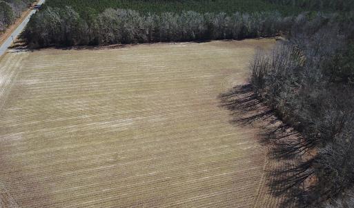 Photo #16 of SOLD property in Off Hunt Club Rd, Carrsville, VA 138.0 acres