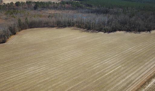 Photo #17 of SOLD property in Off Hunt Club Rd, Carrsville, VA 138.0 acres