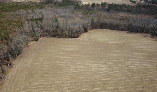 Photo #18 of SOLD property in Off Hunt Club Rd, Carrsville, VA 138.0 acres