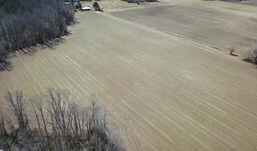 Photo #20 of SOLD property in Off Hunt Club Rd, Carrsville, VA 138.0 acres