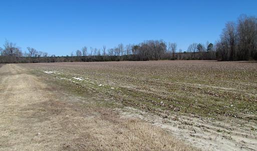 Photo #21 of SOLD property in Off Hunt Club Rd, Carrsville, VA 138.0 acres