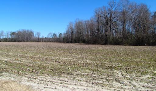 Photo #22 of SOLD property in Off Hunt Club Rd, Carrsville, VA 138.0 acres