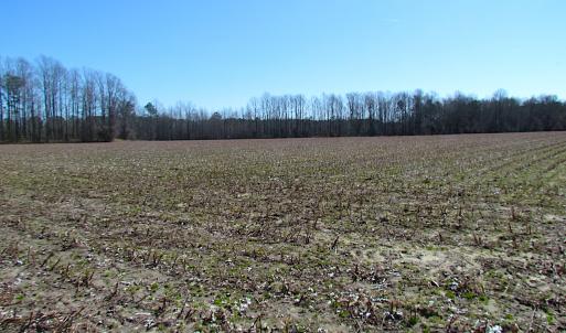 Photo #23 of SOLD property in Off Hunt Club Rd, Carrsville, VA 138.0 acres