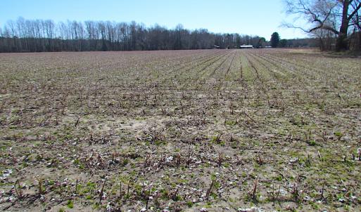 Photo #24 of SOLD property in Off Hunt Club Rd, Carrsville, VA 138.0 acres