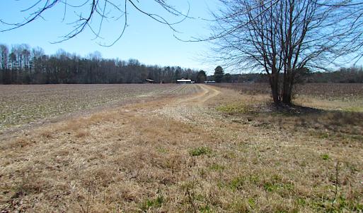Photo #25 of SOLD property in Off Hunt Club Rd, Carrsville, VA 138.0 acres