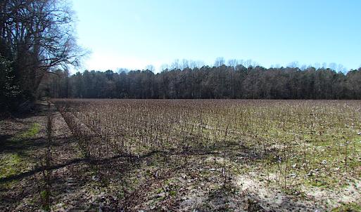 Photo #26 of SOLD property in Off Hunt Club Rd, Carrsville, VA 138.0 acres