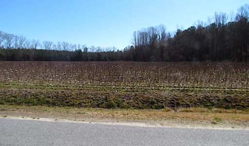 Photo #28 of SOLD property in Off Hunt Club Rd, Carrsville, VA 138.0 acres