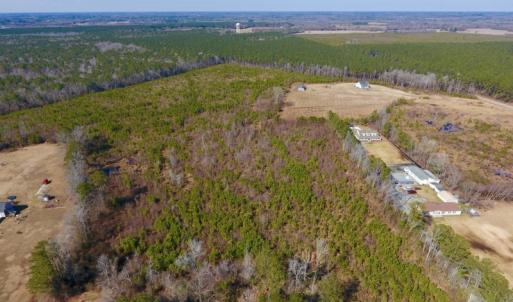Photo #13 of SOLD property in 720 Eagles Road , Pinetops , NC 45.3 acres