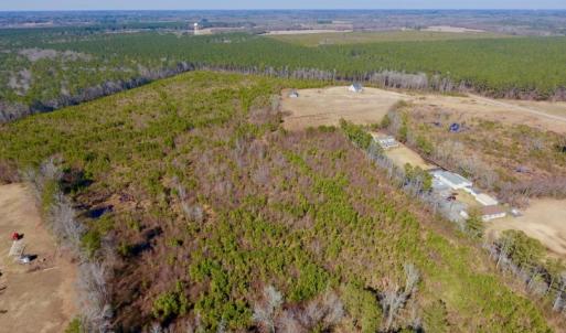 Photo #14 of SOLD property in 720 Eagles Road , Pinetops , NC 45.3 acres