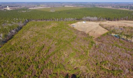 Photo #15 of SOLD property in 720 Eagles Road , Pinetops , NC 45.3 acres