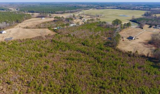 Photo #18 of SOLD property in 720 Eagles Road , Pinetops , NC 45.3 acres