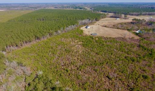 Photo #19 of SOLD property in 720 Eagles Road , Pinetops , NC 45.3 acres